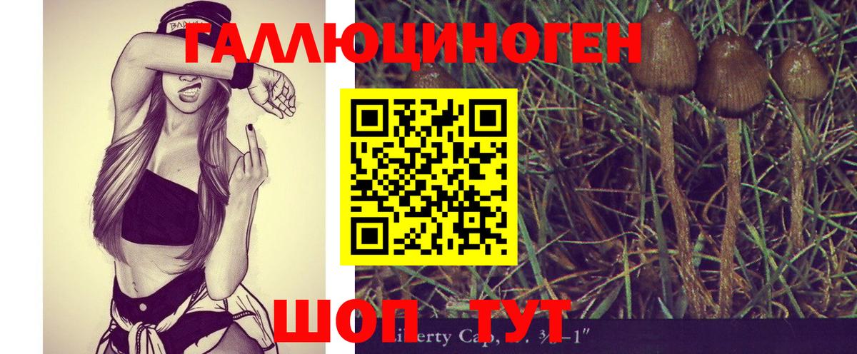 Ульяновск  Псилоцибиновые грибы MAGIC MUSHROOMS  Вход с VPN 