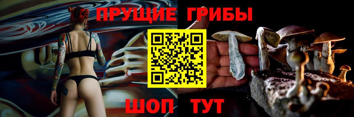 Галлюциногенные грибы Ульяновск